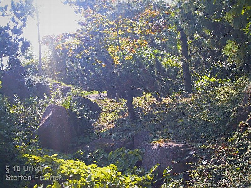 Chinesischer Garten></td>
      </tr>
      <tr>
       <td  align=